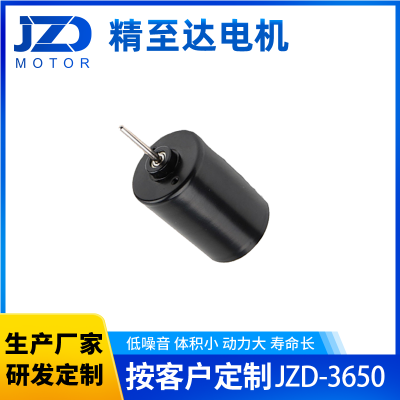 JZD-3650无刷电机 50mm长度直流无刷电机 按摩 美容 电动工具 个人护理