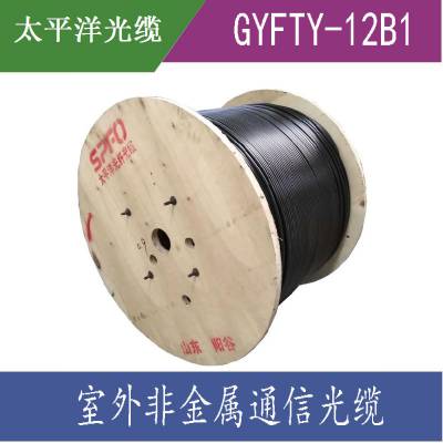 太平洋电力通信 GYFTY-12B1.3 12/24芯单模光纤 非金属光缆 架空光缆