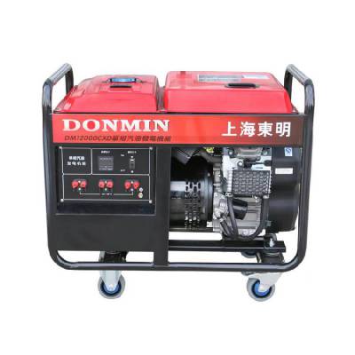 家用10KW单相小型汽油发电机 DM12000CXD 电压220V