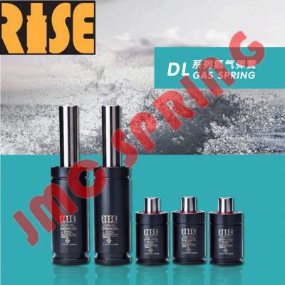ֻRISE