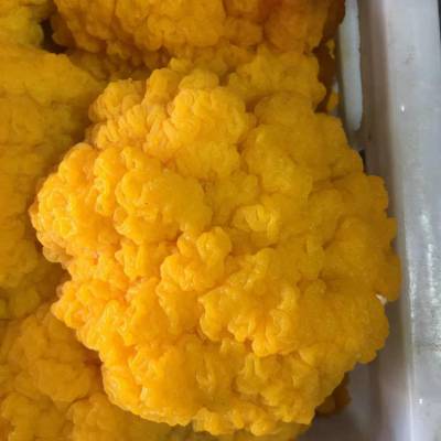 彝山香常年批发新鲜金耳菌 黄木耳 黄耳 航空冷链直达 1000克