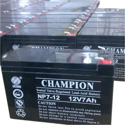 CHAMPION志成***6GFMZJA-80阀控式密封胶体蓄电池12V80AH