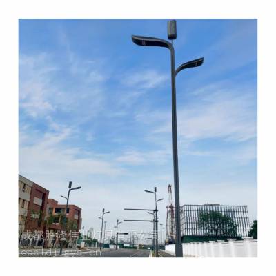 厂家批发8米LED市电路灯高低臂双臂单臂路灯主杆道市政工程路灯
