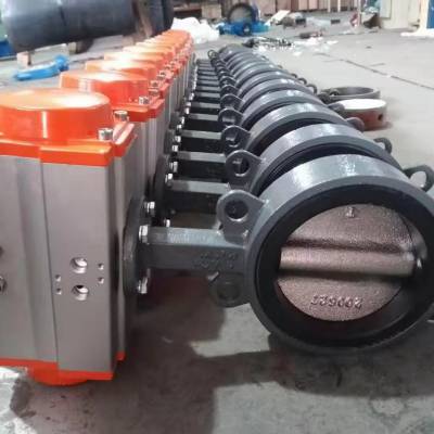 D671X-10C 软密封蝶阀