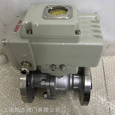 HL-100阀门电动装置220V 1000N.M 50S电动球阀执行机构AC220V/DC24V