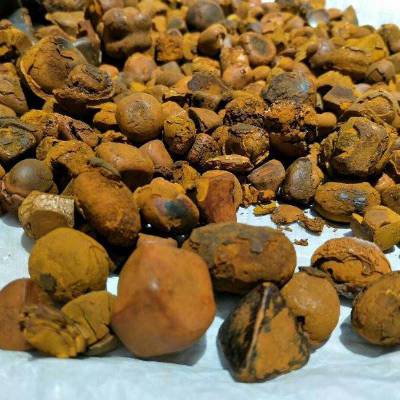 天然牛黄多少钱一克 牛黄市场真伪如何辨别 价格 厂家 中国供应商