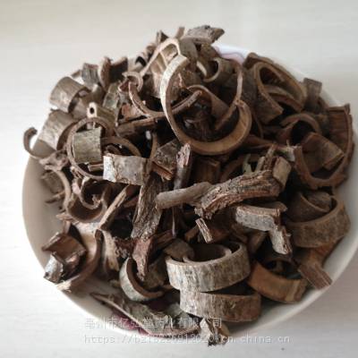 中药材刺楸树皮的药用价值刺楸树皮批发