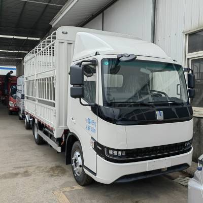 重庆新能源货车吉利星智高栏