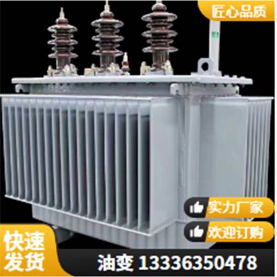 S20-M-400kVA/102*2.5/0.4-NX2 ͽʽѹ Ч