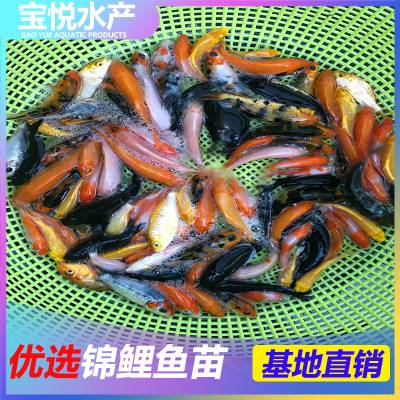 ŷѯ緱ֳ