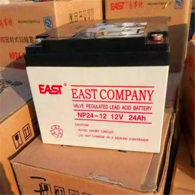 EAST  NP24-12 Ǧά 12v 24ah UPS