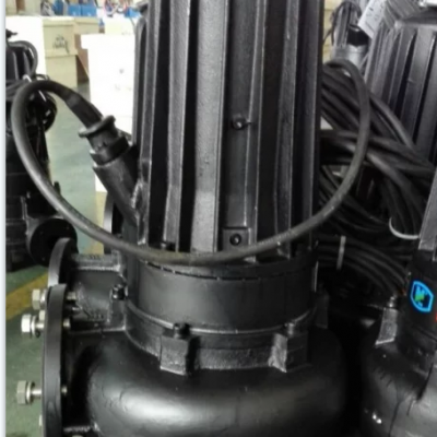 南京蓝深WQ250-2-4潜水提升泵 蓝深液下排污泵 配套自耦导轨吊链安装