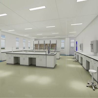 渝中化验室化验台 移动实验台 全钢实验台承重供应 医院办公家具