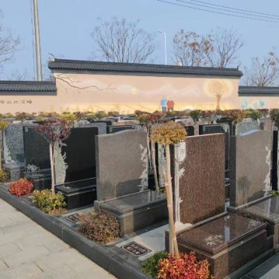 �ζ����Լ۱ȸߵĹ�Ĺ ���ɰ�Ϣ԰�Ϻ���Ӧ