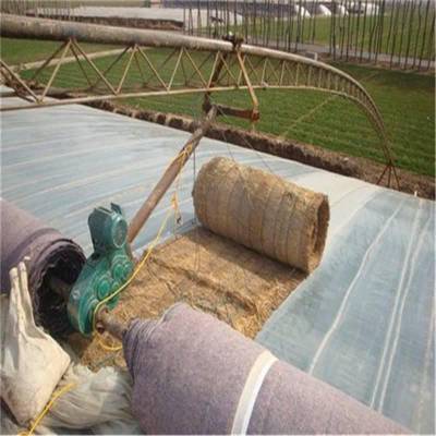 温室大棚侧卷卷帘机