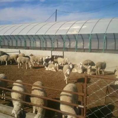 Bet365- Bet365官方网站- Bet365 APP下载产业联动 农旅融合红边关