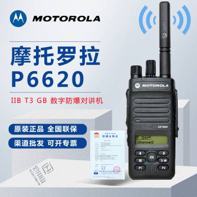 ĦXIR P6620ַԽ ˫ȺԽ̨