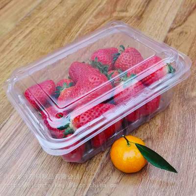草莓包装盒 保鲜分装盒 一斤装草莓塑料盒子价格