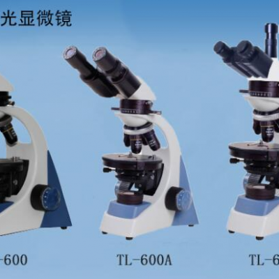 独特的Y型机架TL600偏光显微镜：采用内定位机械结构