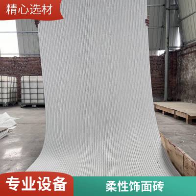 Ƭ ʯ 260*2800 ԺĿ ˽˶ ˼