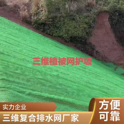 排水网 世杰新材料 三维复合排水网 土工复合排水网 电话咨询