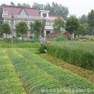 自动拨料青稞收割机 家庭式小型割麦机割草机