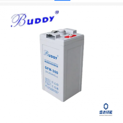 BUDDYGFM-100Ǧ2V100AHܴ۸