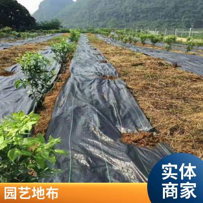 果树防草布价格 果苗专用防草布 葡萄果园生态防草布 山东厂家直供