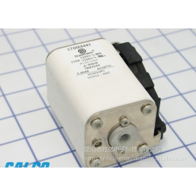 ӦBUSSMANN۶170M4488 160A 170M4489 200A
