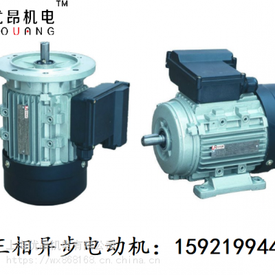 YL4001-4蓝色方型铝壳异步交流电动机生产厂家