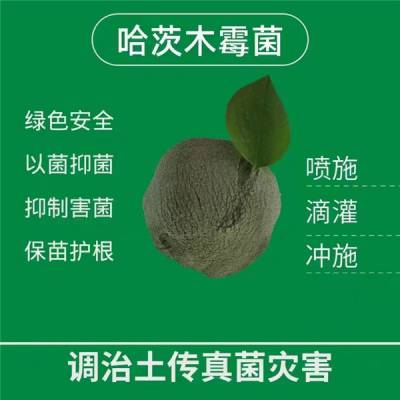 济宁金益菌微生物***供应哈茨木霉微生物菌剂