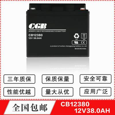 CGB长光蓄电池CB12380 12V38AH电力直流屏柜UPS电源基站 机房电池