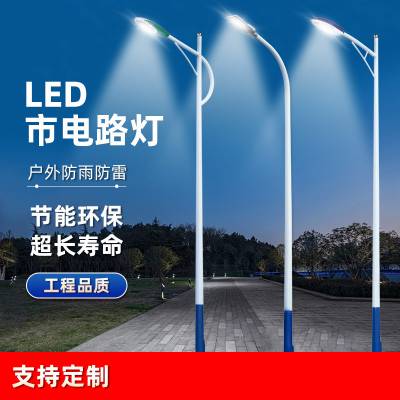 LED市电双臂路灯厂家 户外8米9米照明灯杆可定制 设计方案