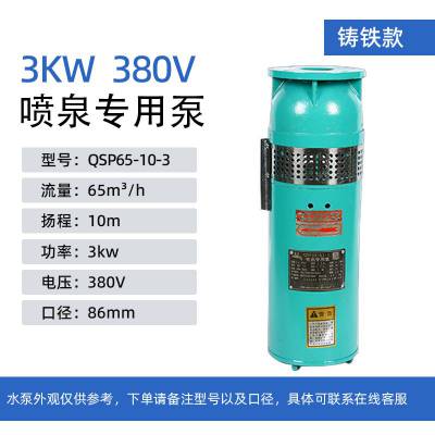 QSP65-10-3QSP喷泉专用泵水浸式水景景观喷泉泵