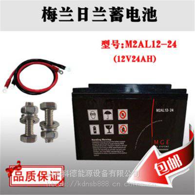÷M2AL12-24 12V24AH վͨԴ