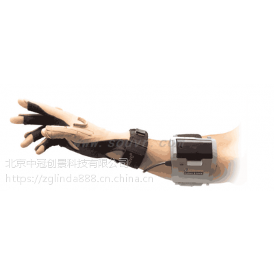 CyberGlove II 18 Sensors 