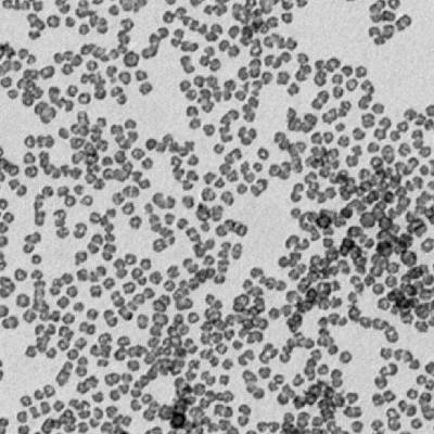 易金新材高纯纳米碳化钛 碳化钛陶瓷粉 50nm 纳米碳化钛