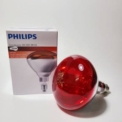 Philips/250W BR125УҼȵƺɵ***ºߵ