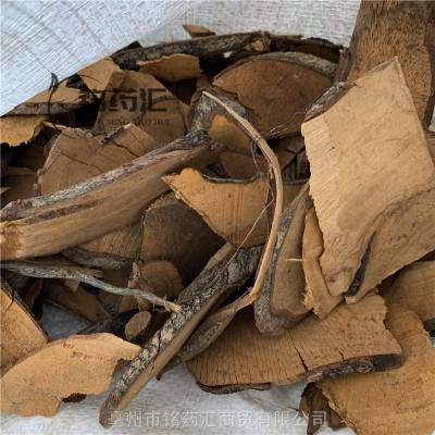 安徽枇杷根供应中药材山枇杷