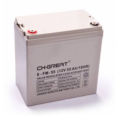 CH.GREAT6-FM-55ʽǦ12V55AH UPS/EPSֱר