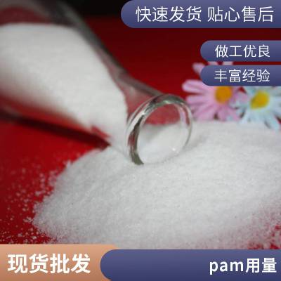 蓝宇生产供应聚丙烯酰胺PAM pam水处理药剂生产商 可定制