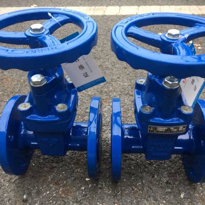DN500 բ ˲綯պϼ Z45H-10C ѹȫ