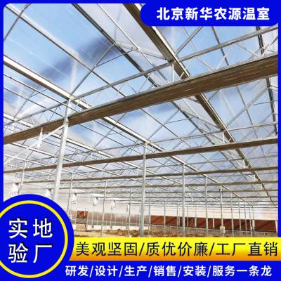 福建纹络型阳光板温室 搭建阳光板温室 农业种植大棚 新华农源 温室大棚