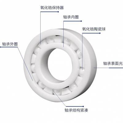 原装陶瓷耐酸碱轴承6004,6005,6006