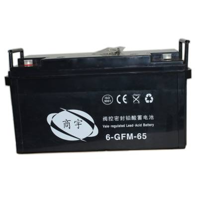 6-GFM-65ܷǦ12V65AHӦԴ ͨѶ豸