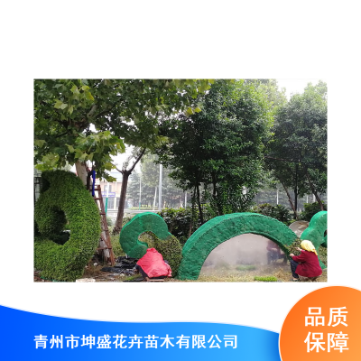 重庆学校五色草造型_植物立体绿雕造型设计施工