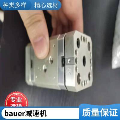 Bauer高扭矩减速电机BS06-44V/DPE08XB4/C2-SP