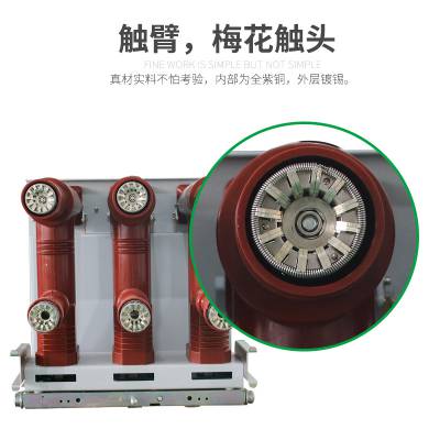 供应接触器 ZFCC5-12D/D100-40T 户内真空接触器 环网柜用