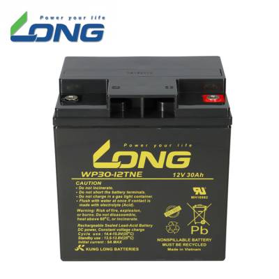 LONG¡WP30-12 12V30Ah ǦάVRLAʽܷAGM