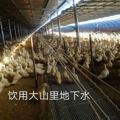 Ѽ©©ЧõѼ©Ѽˮ©尲װ